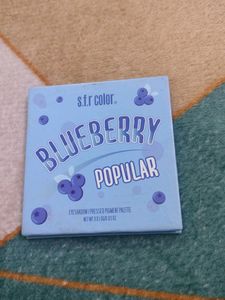 Sfr Color Blueberry Eyeshadow ❣️