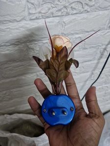 Mushroom Night Light