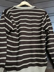 Men brown Striped V-Neck Sweater