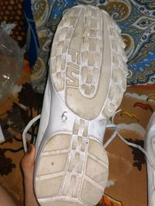 White Casual Sneakers