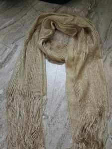 Party Wear Dupatta