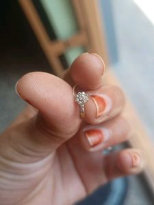 Nose Pin