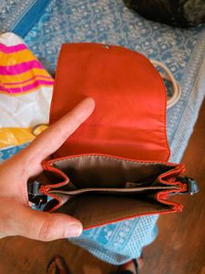 Brand New Baggit Sling Bag