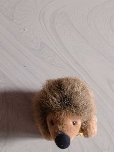 Cute Hedgehog Plushie