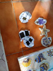 Shells Fridge Magnets