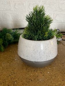1 Plastic Pot And 4 Artificial Plants