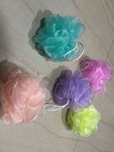 Pack Of 5 Luffa