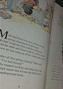 Story Book