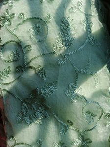Beautiful Net Saree