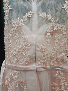 Elegant Light Pink Gown