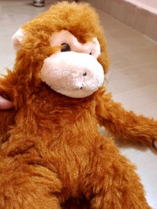 Monkey 🐒 Toy