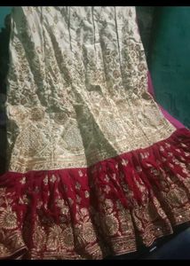 Elegant Embroidered Lehenga With Velvet Border