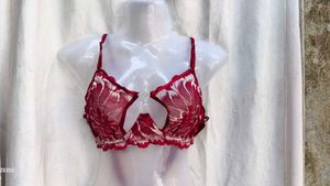 I. Red Lace Bra with Heart Detail