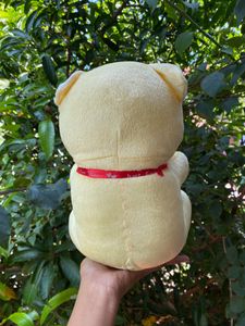 Brand New Teddy Bear