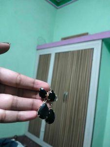 Elegant Black Drop Earrings