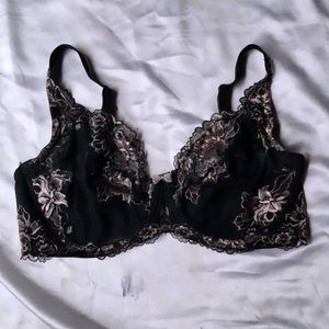 New Bra