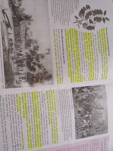 Class VIII Textbook Set