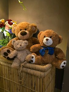 Adorable Teddy Bear Trio