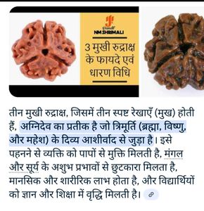 🛑3-Mukhi Rudraksha with Red Thread