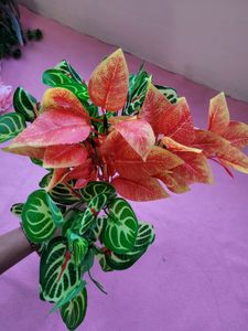 Leaf Set