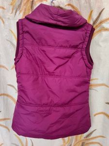 Purple Jacket For Men