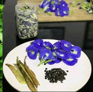 100 seeds aprajita total