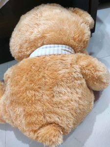 Cute Teddy - Giant Baby 🧸