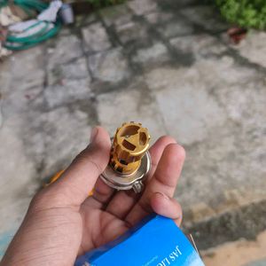 Splendor Plus 5500K LED Bulb