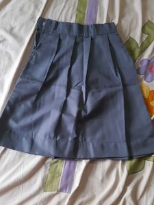 Pleated Blue Skirt