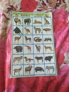 School Project Stickers