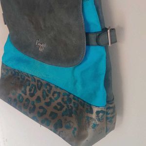 Baggit Bag