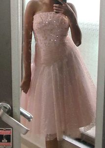 Blush Pink Tube Dress
