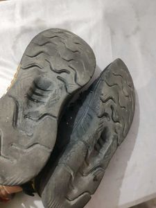 Sports Shoes