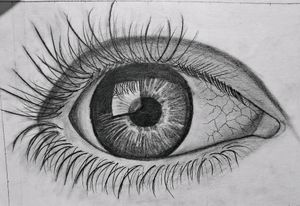 Customised Pencil Sketch ✏️