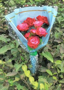 Beautyfull Folowars Bouquet 💐