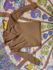 Fitted Full Sleeve Crop Top With Collar