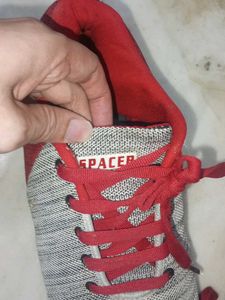 Sport Shoes