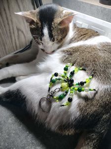 Beaded Spider Keychain  (Pack Of 1)