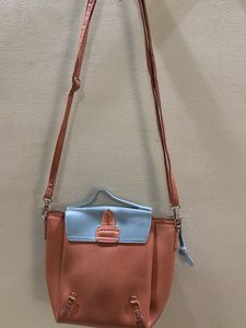 Baggit Crossbody Bag