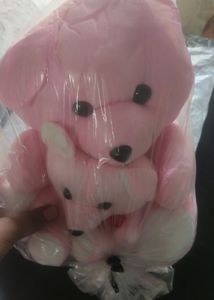 Teddy Bear And Shoes
