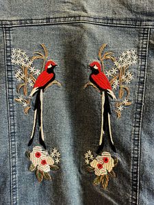 Embroidered Denim Shirt Dress/Jacket