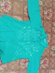 Embroidered Shirt