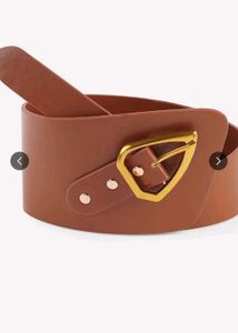 Brown Wide Waist Belt