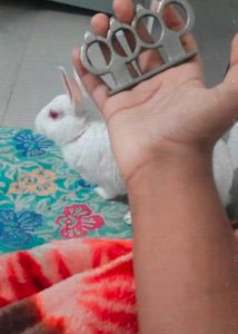Punch Brass Knuckles Self Defence