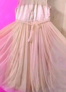 Elegant Ethnic Gown