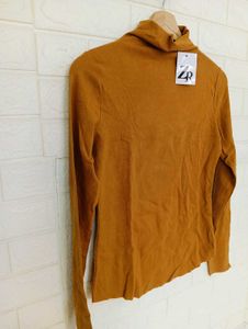 Zara Brown Turtleneck Top