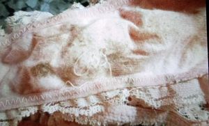 Lace Detail Panty