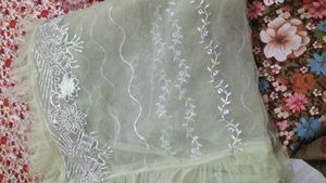 Beautiful Pakistani Suit With Net Frill Dupatta