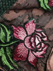 Elegant Embroidered Saree