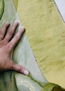 Parrot 🦜 Green 💚